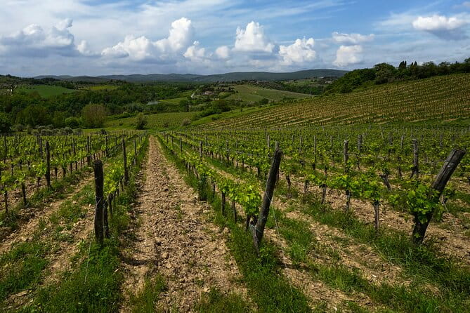 Guided Winery Tour and Wine Tasting in Siena - Final Thoughts