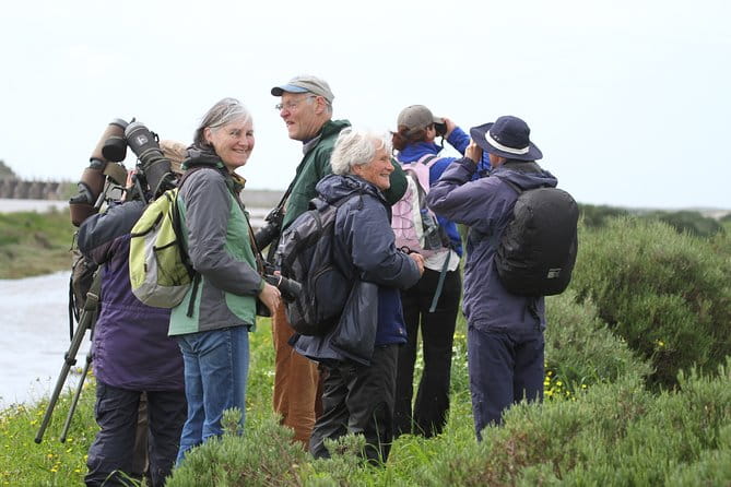 Half-day birdwatching at the Abicada marshed - Final Thoughts on Value and Suitability