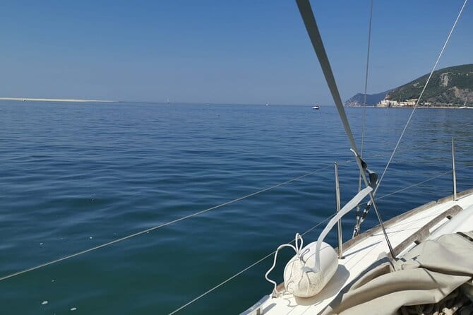 Half-Day boat experience - Comporta - Troia - Setubal - Who Will Love This Experience?