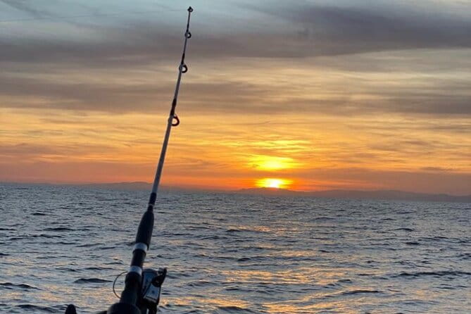 Half-day cruise / navigation to the Lerins Islands - Who Is This Tour Best For?