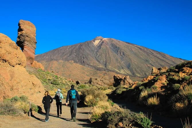 Half-day excursion to Teide National Park - Highlights and Photo Opportunities