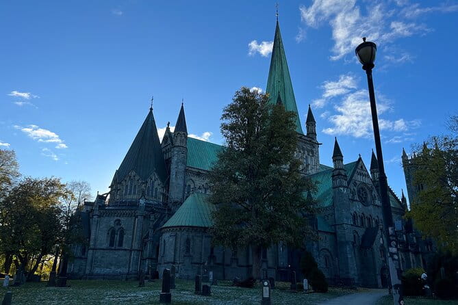 Half-Day Highlights of Trondheim by Bus and City Walk - Who This Tour Is Best For