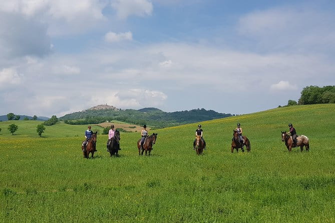 Half-Day Horseback Ride in Tuscany for beginner riders - Who This Experience Is Perfect For