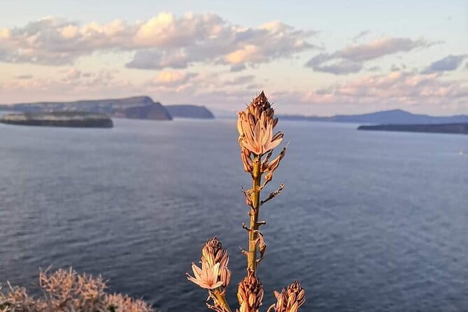 Half-Day Inland Fishing Tourism Morning Tour with Lunch - Who Should Skip This Tour?