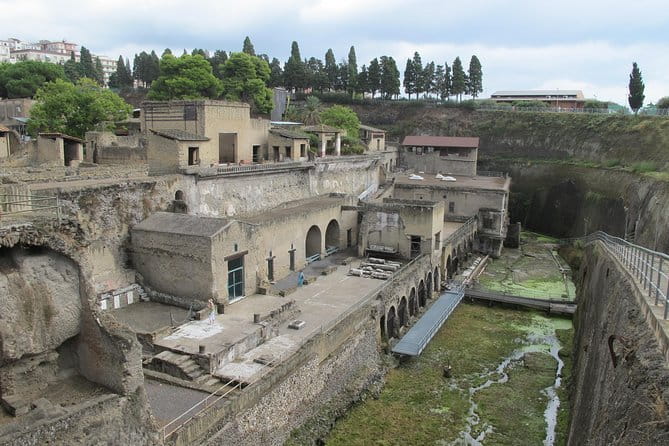 Half Day Morning Tour of Herculaneum from Sorrento - The Sum Up