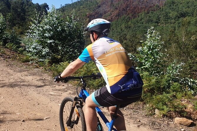 Half day Mountain Bike Tour in Porto - Who Should Book This Tour?