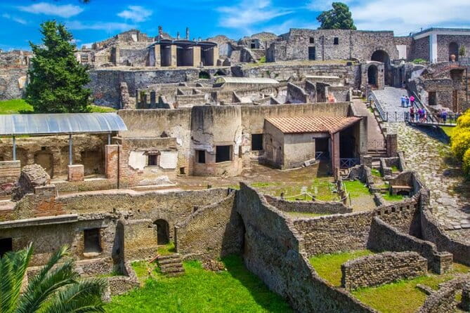 Half Day Pompeii Naples Private Tour - Logistics: Transportation, Group Size, and Price