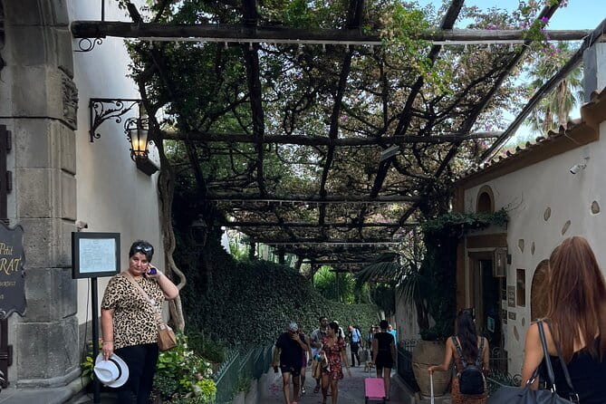 Half Day Private Tour in Positano - Transportation and Timing: Comfort and Efficiency