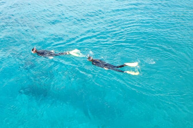 Half Day Snorkelling Experience with a dive boat in Kos Greece - The Practical Side: Logistics and Booking