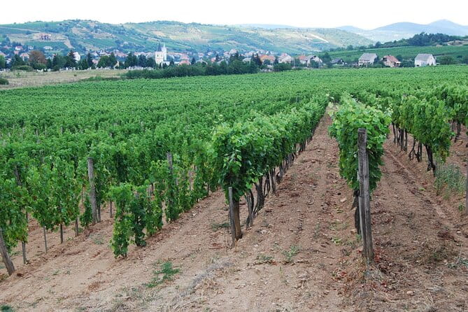 Half Day Tokaj Wine Tasting Tour in Mád Hungary with lunch - Exploring Mád and the Heart of Tokaj: The First Step