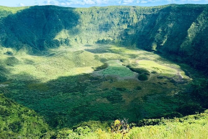 Half-Day Tour around Faial Island - Who Is This Tour Best For?