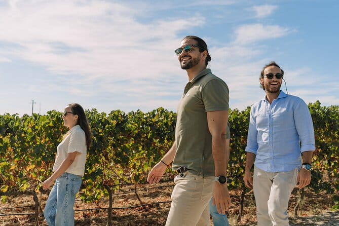 Half Day Wine Tour Around Evora - Guided Wine Tasting with Regional Snacks
