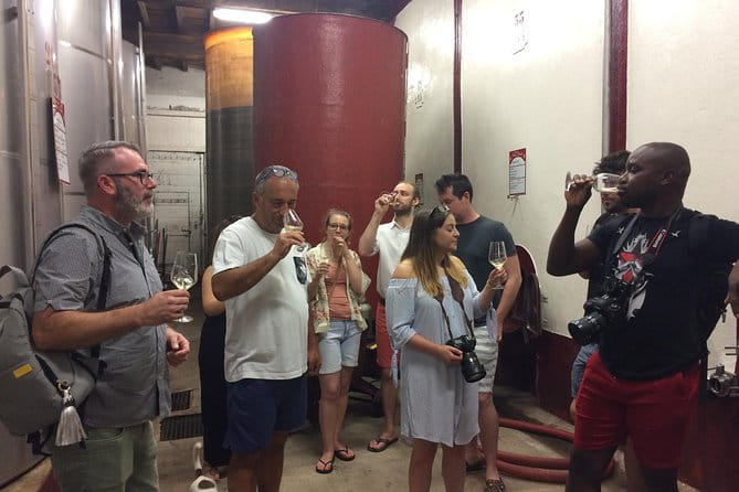Half day wine tour. Private tour from Carcassonne and around. - Exploring the Details of the Experience