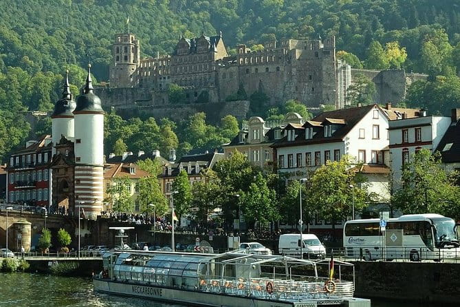 Heidelberg Private Walking Tour With A Professional Guide - Practical Details: Price, Duration, and Logistics