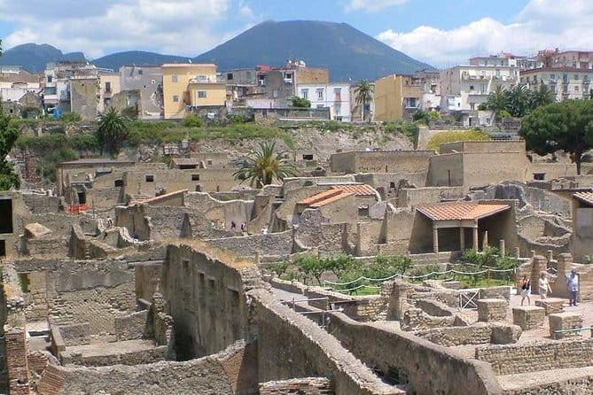 Herculaneum walking tour with a professional Guide - Price and Logistics: Worth the Investment?