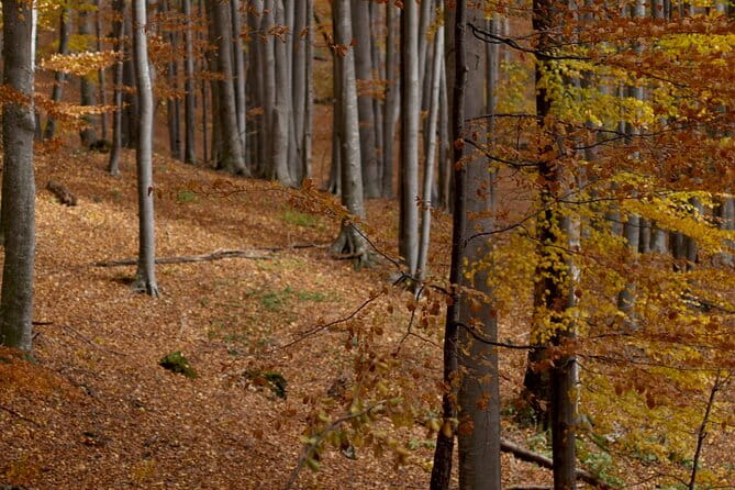 Hike in The Central Balkan National Park - Final Thoughts
