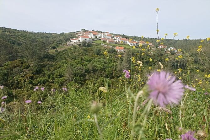 Hike & Wine Ericeira - Possible Considerations