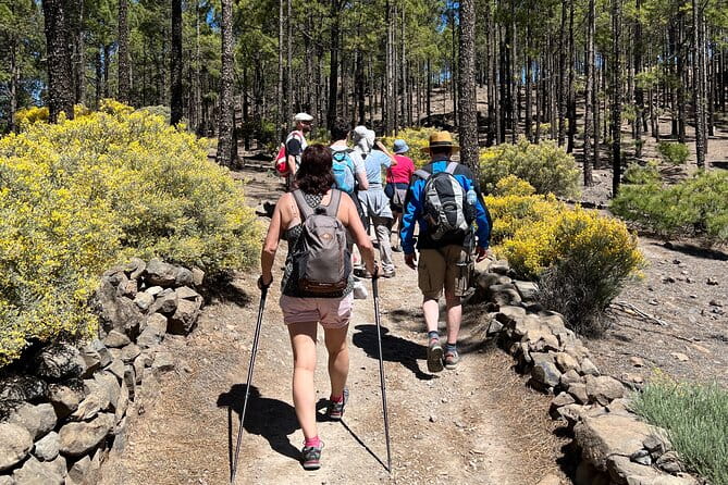 Hikes Roque Nublo - The Journey Through the Cumbre Central