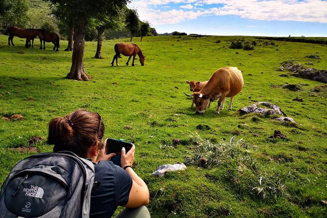 Hiking Experience in Asturias, from Gijón or Oviedo - The Sum Up