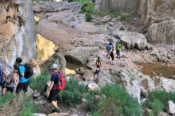 Hiking Private Tour in Pollensa - Who Will Love This Tour?