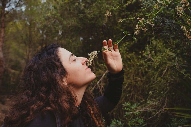 Hiking Tour into the sunset - Port Andratx to Sant Elm - The Details: Logistically Speaking