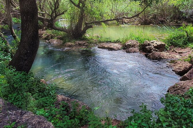 Hills & Thrills: 4 Hr Fonte da Benémola Electric Motorbike Tour - The Fonte da Benémola Stop: Nature’s Hidden Gem