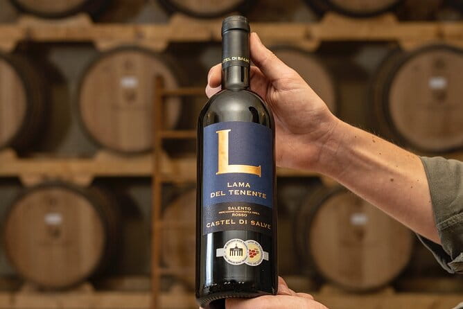 Historical Cellar Visit and Wine Tasting in Salento - Who Would Enjoy This Experience?