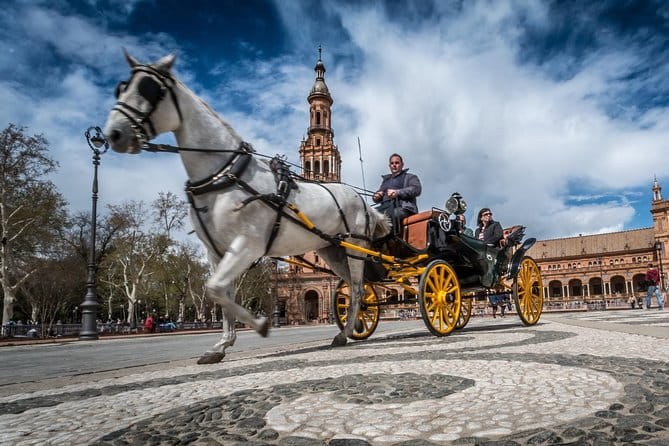 Horse and Carriage Sightseeing Tour in Seville - The Guides and Drivers