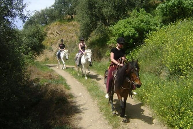 HORSE RIDING 1.5 hours mountains from area Hersonissos CRETE - Price, Booking, and Logistics