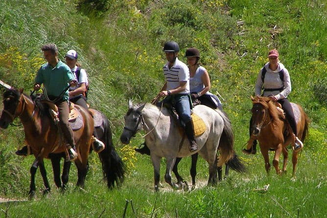 Horse Riding From Kusadasi Port / Hotels - Frequently Asked Questions
