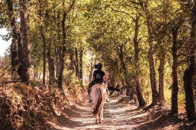 Horse riding in the vineyards of Grimaud + wine tasting - An Authentic Ride through Vineyards and Forests