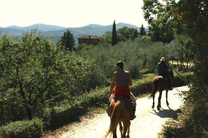 Horse Riding in Tuscany for Experienced Riders: Full-day Trail Ride - Who Will Love This Experience?