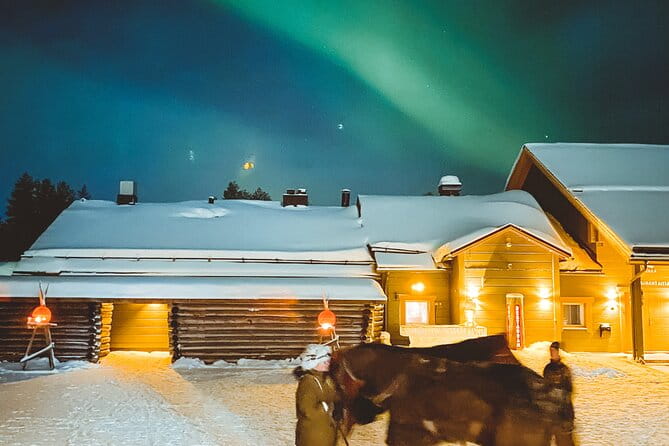 Horse Sleigh Ride Under The Night Sky in Apukka Resort, Rovaniemi - Price & Logistics: Worth the Cost?