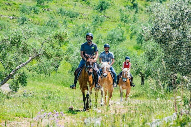 Horseback riding and aperitif 2 hours for beginners - Who Would Enjoy This Experience?