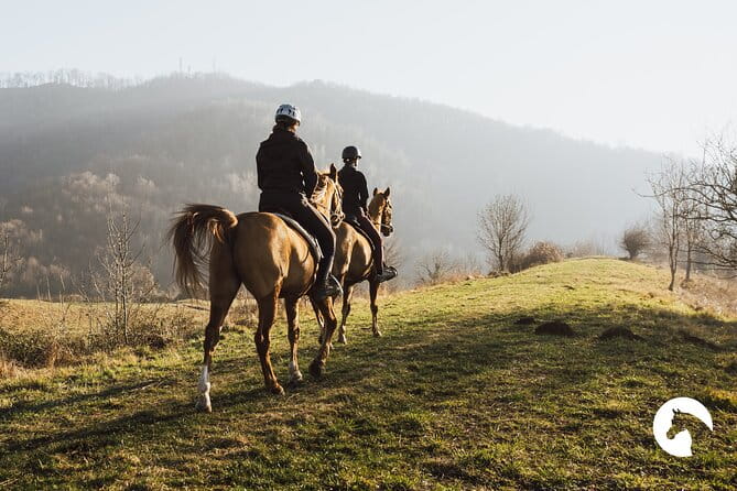Horseback riding for experts between the lake and the mountains - The Final Two Hours: Galloping with Views