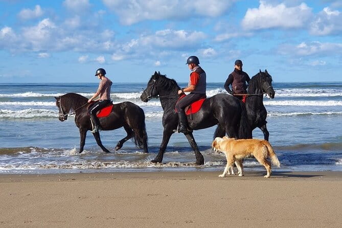 Horseback riding in Durrës - Key points / Takeaways