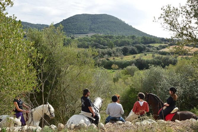Horseback Riding in Randa Valleys, Mallorca, Spain - Price and Logistics — Is It Worth It?