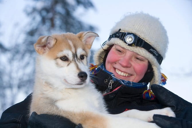 Husky Safari from Rovaniemi Including a Husky Sled Ride - The Sled Ride Experience