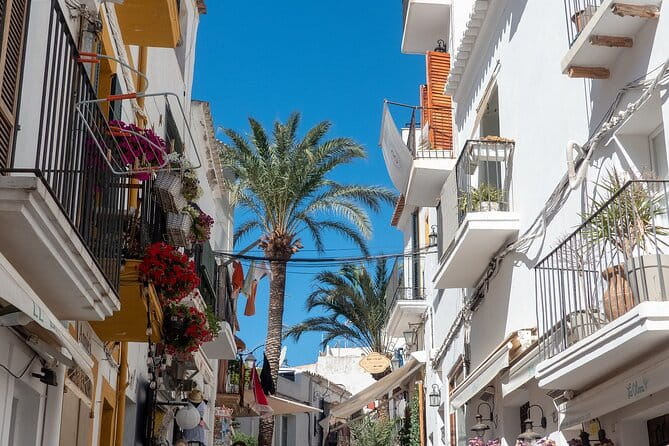 Ibiza old town Private Walking Tour with a Professional Guide - Who Will Love This Tour?