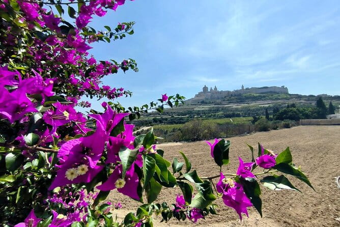 Island Day Tour with a Private Local Driver - Why Travelers Love This Tour