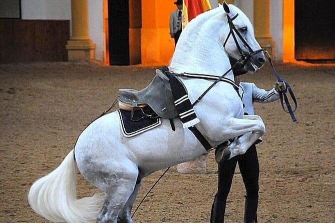 Jerez Historic Guided Tour with Horse Show - The Royal School of Andalusian Equestrian Art: The Horse Show