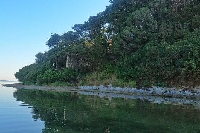 Kayaking at Narta Lagoon from Vlore - Comparing to Other Nearby Experiences