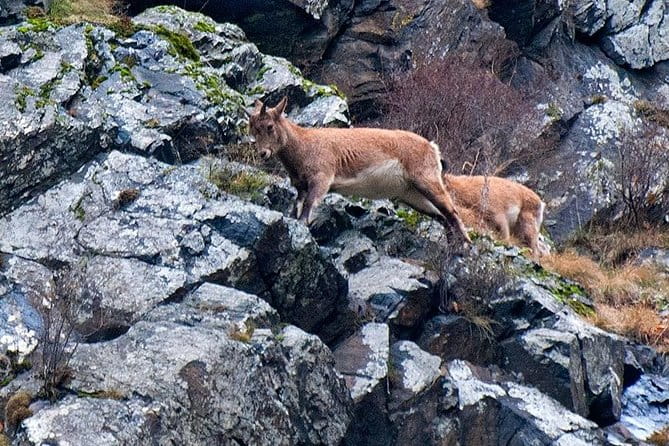 Kazbegi, Ananuri , Gudauri and Zhinvali (Group Tour) - Starting the Day – Meeting Point and Early Morning Vibes