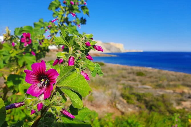 Lagos to Luz with an eco Tuk and local guide - FAQ
