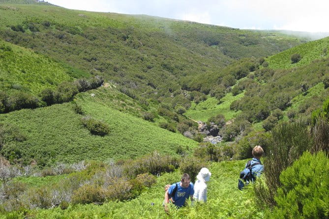 Lakes of Madeira- Alecrim Full day walk - Final Thoughts: Who Should Book?