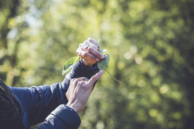 Learn to forage in Llangollen - Value for Money and Practical Details