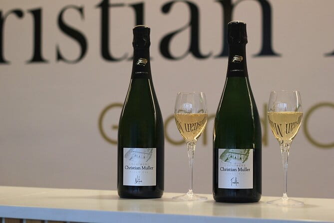 Let's take a walk in the vineyards - Who Should Consider This Tour?