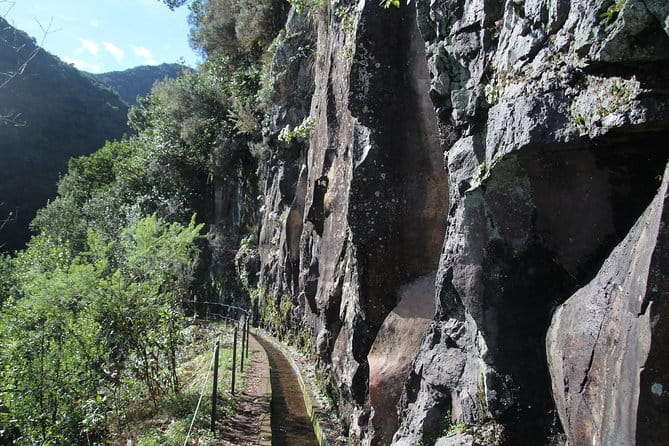 Levada do Rei - Ribeiro Bonito (Full Day Walk) - Discovering Madeira’s Laurissilva Forest: A Guide to the Full-Day Levada Walk