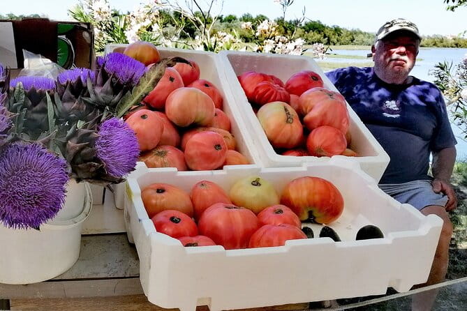 Lio Piccolo: Flamingos & Birdwatching Bike Tour in the Lagoon - Analyzing the Value and Who It’s For