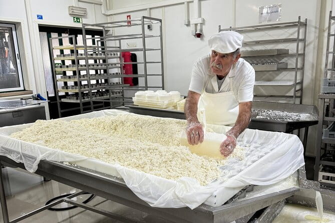 Lisbon Cheese Factory Visit, Wine Tasting and Tile Painting Tour - What You Get and What You Don’t